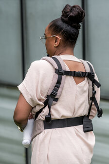 Brown Carrier Click &amp; Go Toddler