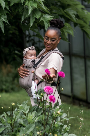 Brown Carrier Click & Go Toddler